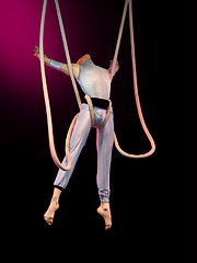 Image showing Acrobat