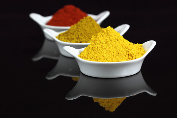 Image showing Spices