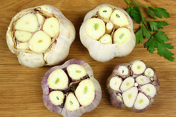 Image showing Garlic