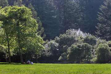 Image showing Picnic in the park