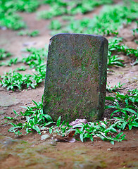 Image showing Tombstone for the pet grave