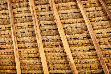 Image showing Structure of thatched roof