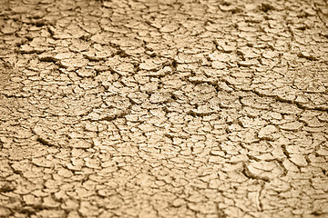 Image showing Cracked dry earth - natural background