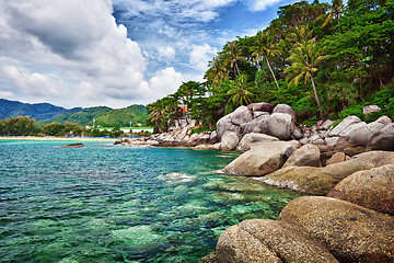 Image showing Exotic tropical ocean shore