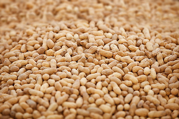 Image showing Peanuts in shells. 