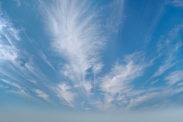 Image showing Sky with cirrus clouds photographed by wide angle