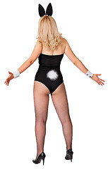 Image showing Rare view of full length blonde woman in rabbit suit