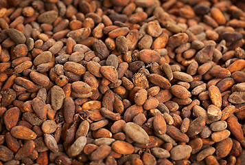 Image showing Cocoa beans background