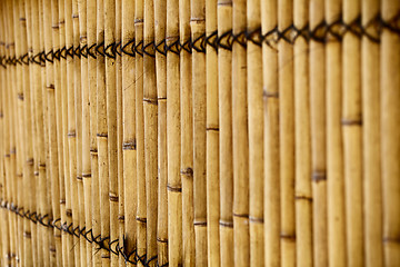 Image showing Bamboo fence