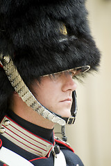 Image showing Royal guard