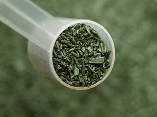 Image showing Spirulina superfood