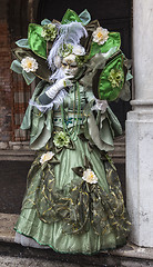 Image showing Complex Green Venetian Disguise