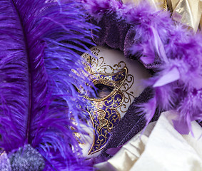 Image showing Venetian Disguise-Close-up