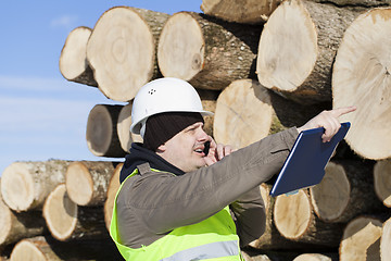 Image showing Lumberjack  talking on the cell phone near at the log pile 