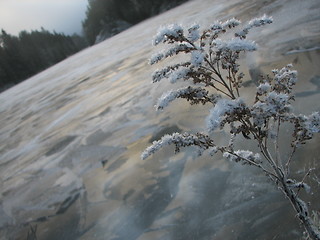 Image showing Frozen lake