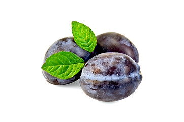 Image showing Plum purple with leaves