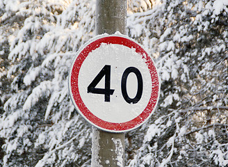 Image showing Speed limit sign on a forest road