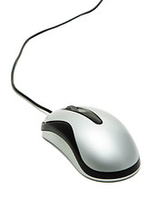 Image showing Mouse