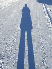 Image showing Long-legged shadow