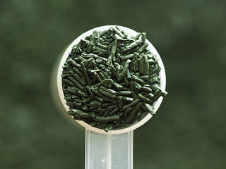 Image showing Spirulina superfood