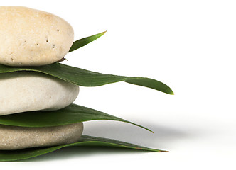 Image showing Stacked stones on base of green leafs