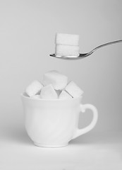 Image showing Sugar lumps in cup