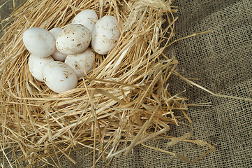 Image showing Organic domestic white eggs in straw nest