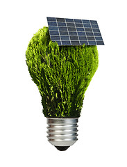 Image showing Lamp made ??of green plants. Ecology conception