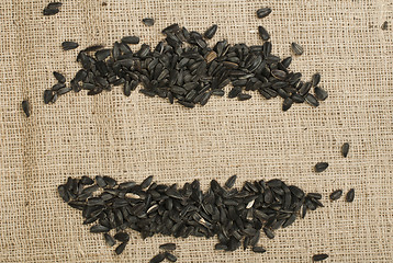 Image showing Sunflower seed