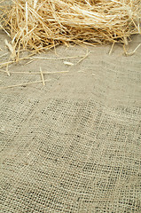 Image showing Straw on burlap