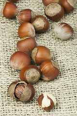 Image showing Closeup raw hazelnuts on burlap