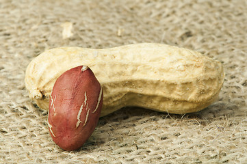 Image showing Closeup Peanuts on burlap