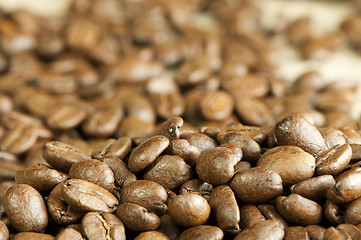 Image showing Coffee beans