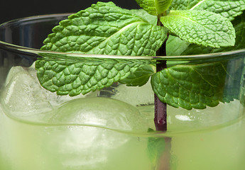 Image showing Green cocktail with cubes ice