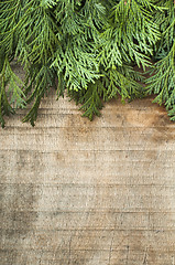 Image showing Wood and fir branches background