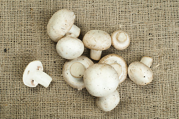 Image showing Mushrooms