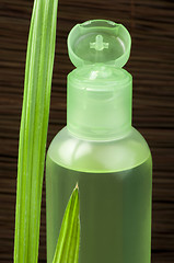 Image showing Green cosmetic bottle and leaf