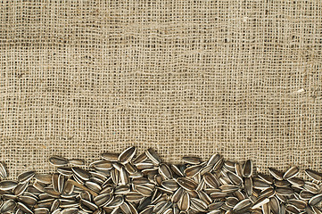 Image showing Closeup raw sunflower seeds on burlap