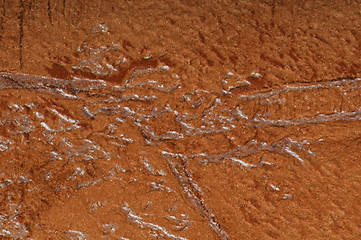 Image showing Brown wallpaper texture