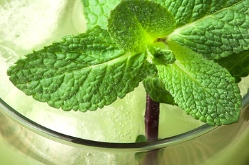 Image showing Green cocktail with cubes ice