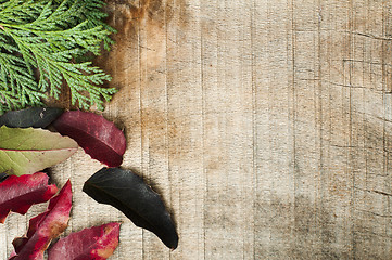 Image showing Wood and fir branches background