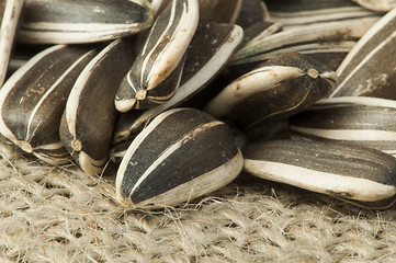 Image showing Closeup sunflower seeds on burlap