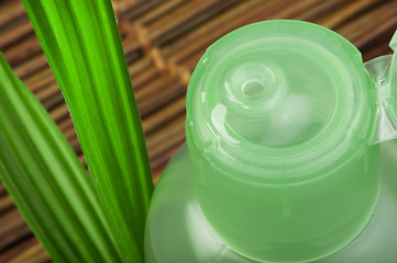 Image showing Green cosmetic bottle and leaf