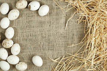 Image showing Organic white domestic eggs on sackcloth and straw