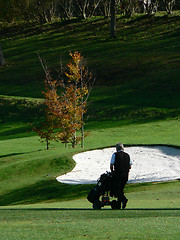 Image showing Golfer