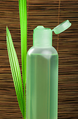 Image showing Green cosmetic bottle and leaf