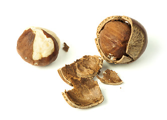 Image showing Closeup raw hazelnuts white isolated