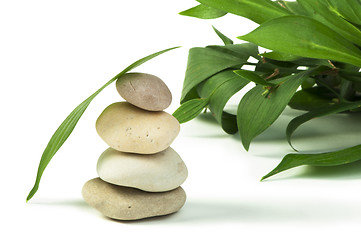 Image showing Stacked stones and green leafs