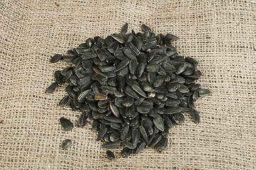 Image showing Sunflower seed