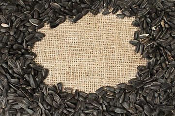 Image showing Sunflower seed